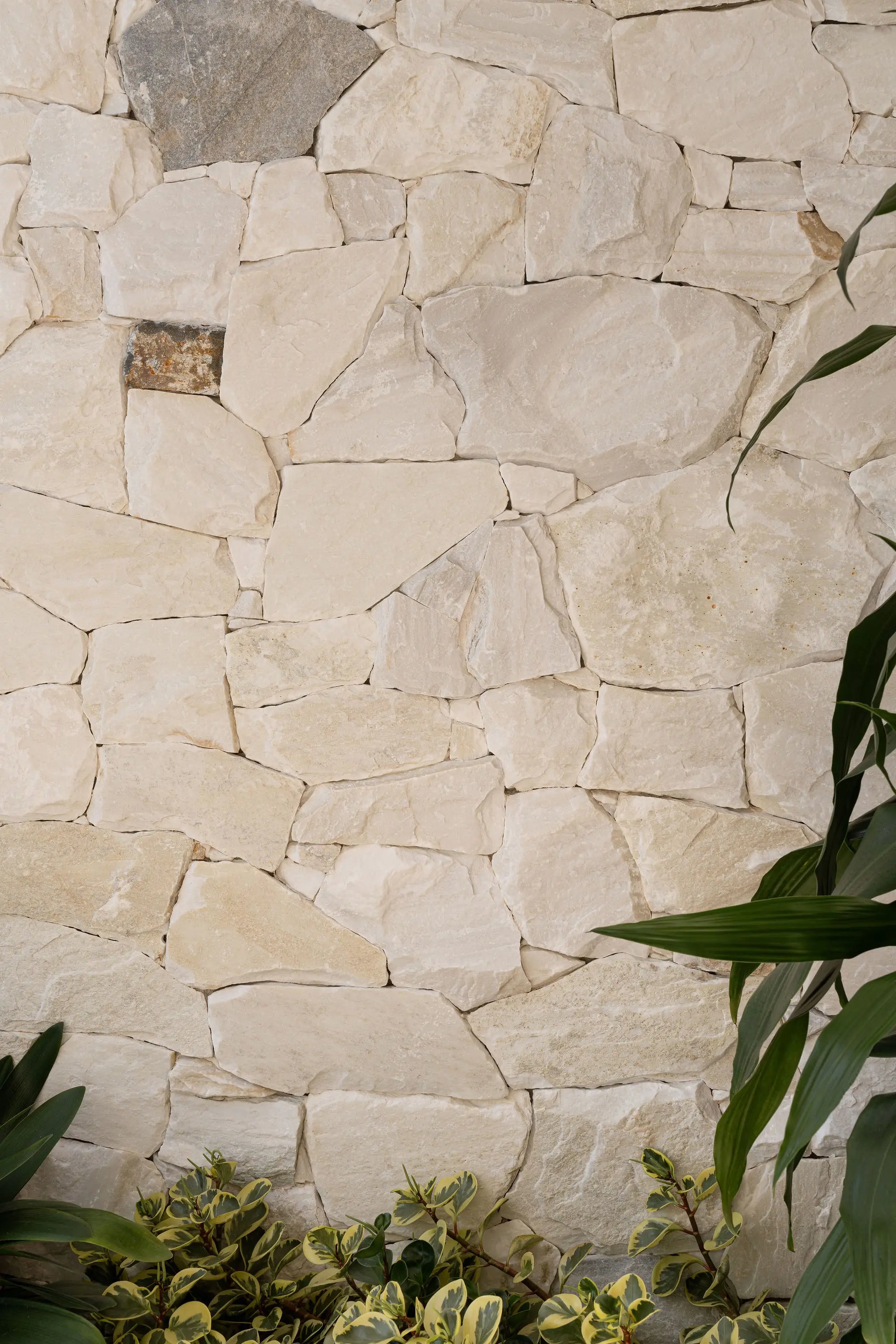 Arlo Stone Project MINYAMA BY ARLO HOMES Photo