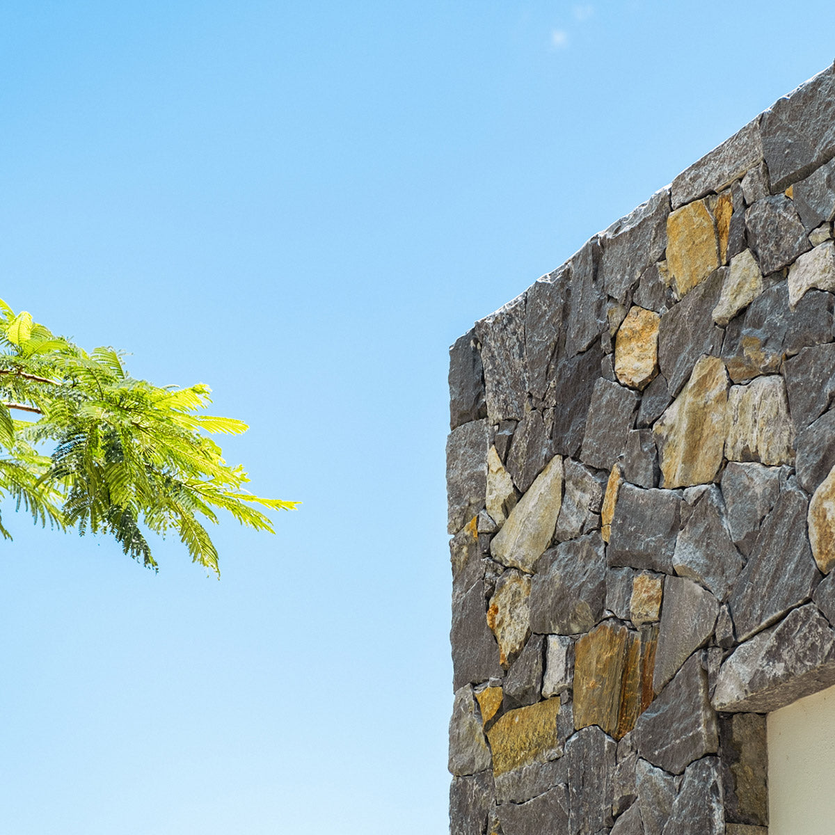 Arlo Stone Project BURLEIGH ON BUDERIM x ARLO Photo